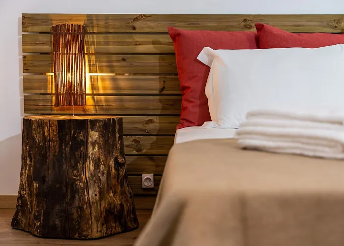 Vandrarhem Ola Vida - *