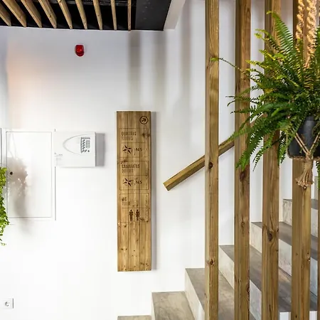 Hostel Ola Vida -