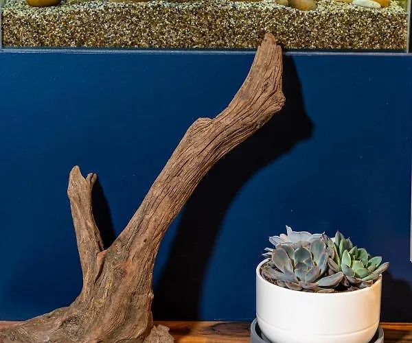 호스텔 Ola Vida -