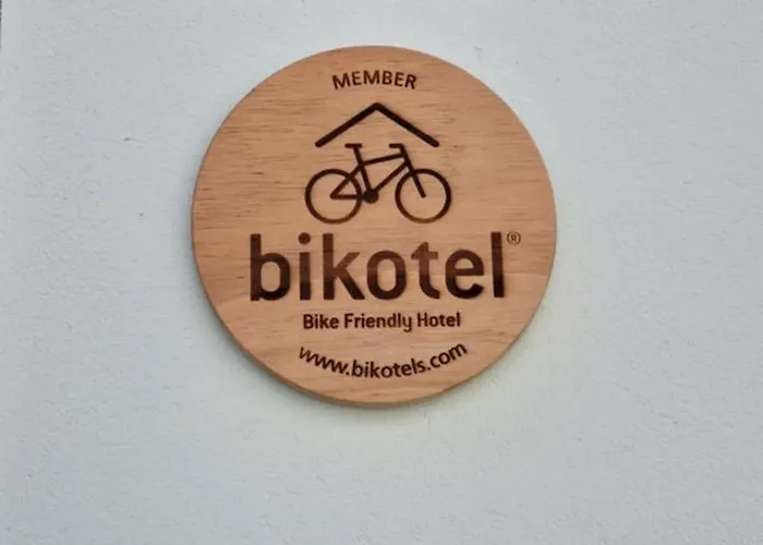 Ola Vida - Hostel Caminha